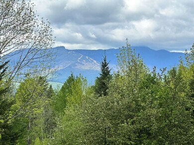 114 Pinnacle Rd, Stowe, VT 05672 - photo 6