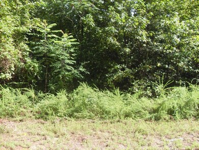 011 Loblolly Ln unit 11, Tunnel Hill, GA 30755 - photo 5