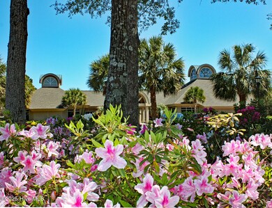 Azaleas at Plantation Club
