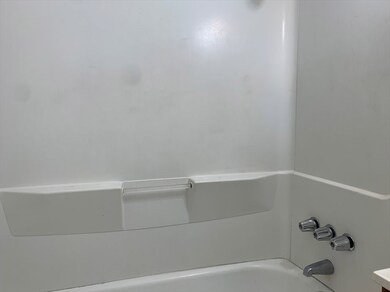 Shower Tub