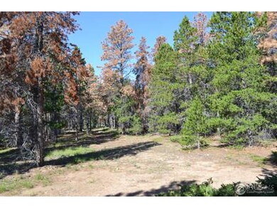 268 Elk Bugle Way, Bellvue, CO 80512 - photo 4