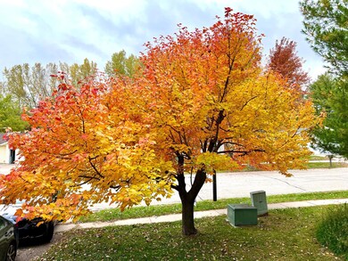 382 Frenn Ave, Red Wing, MN 55066 - photo 6