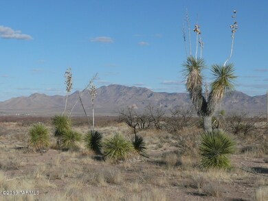 7.8 Acres S Acacia Ln, Portal, AZ 85632 - photo 2