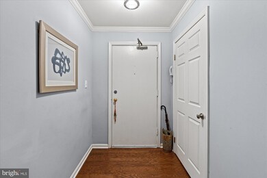 7332 Tavenner Ln unit 1A, Alexandria, VA 22306 - photo 3