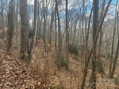 68 Grouse Rd unit 68, Clyde, NC 28721 - photo 3