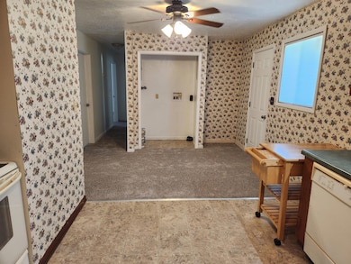 529 E Mcvay St, Marshfield, MO 65706 - photo 7