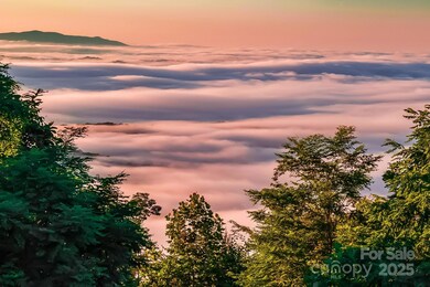 On Shoal Ridge; there are amazing views all different times throughout the day and seasons!