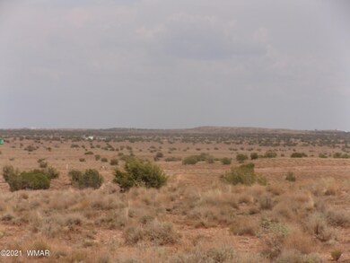 Lots 015