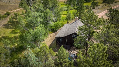 950 Meadow Creek Rd, Livermore, CO 80536 - photo 4