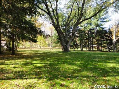 Yard/Garden