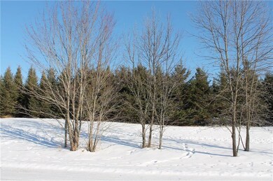 Lot 3 26 1 4 St, Chetek, WI 54728 - photo 3