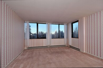 Wonderful Windows Throughout Unit
