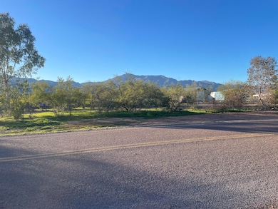 46G Ewing Trail, Tonto Basin, AZ 85553 - photo 2