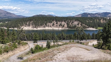 1381 #B Washington 25, Kettle Falls, WA 99141 - photo 5