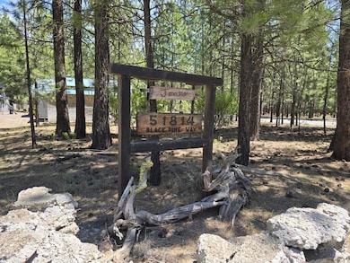51814 Black Pine Way