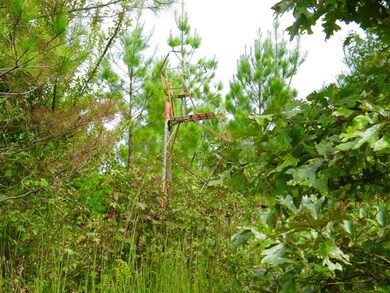 TBD County Road 103, Lafayette Springs, MS 38655 - photo 4