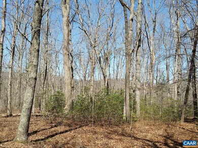 2647 Penny Ln, Charlottesville, VA 22903 - photo 5