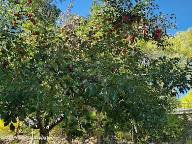 411 5th Ave NW, Mandan, ND 58554 - photo 3