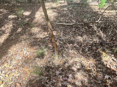 0 Pine Ridge Dr unit LotWP001, Elberton, GA 30635 - photo 4