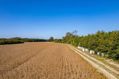 0 Caratoke Hwy unit 127231, Poplar Branch, NC 27965 - photo 5