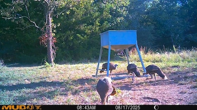 SW 1070 Ave, Higgins, OK 74531 - photo 4