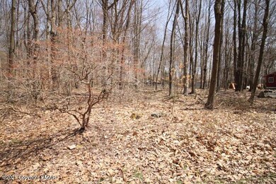 6 Paiute Path, Pocono Lake, PA 18347 - photo 3