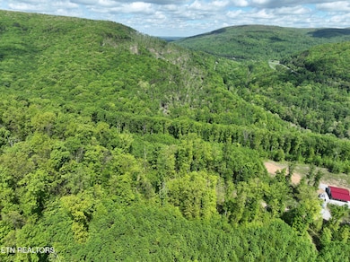 0 Lower Eagles Nest Rd unit 1322990, Crab Orchard, TN 37723 - photo 3