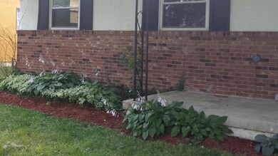 Beautiful Hostas