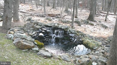 266 Red Bud Ln, Front Royal, VA 22630 - photo 4