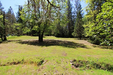 Back field