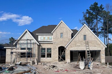 17449 Violet Vineyard St, Grangerland, TX 77302 - photo 2