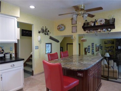 716 Lafayette Blvd, Sheffield Lake, OH 44054 - photo 5