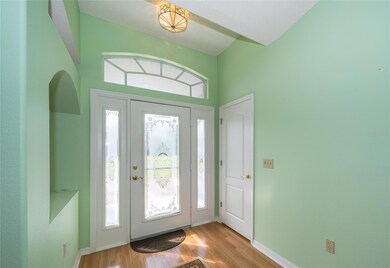 34351 Atkins Rd, Wesley Chapel, FL 33545 - photo 3