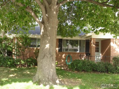 Large Shade Trees