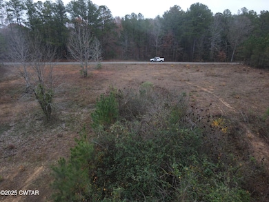 00 Duck Ln, Scotts Hill, TN 38329 - photo 5