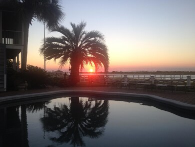 301 Palm sunset2