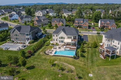 41661 Revival Dr, Ashburn, VA 20148 - photo 4