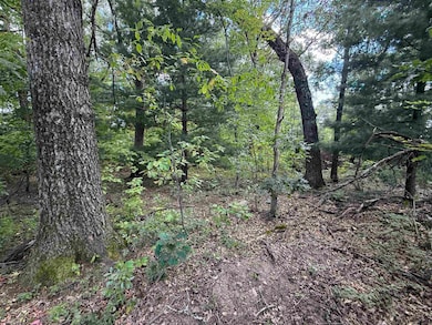 364 Lake Shore Dr, Wisconsin Dells, WI 53965 - photo 4