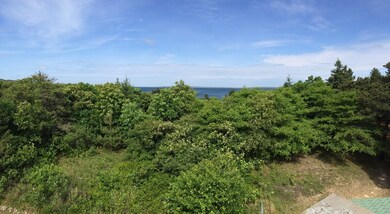 56 Boghouse Way, Vineyard Haven, MA 02568 - photo 7