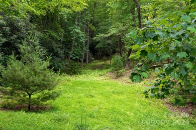 99999 Running Deer Trail unit 80, Mills River, NC 28742 - photo 3