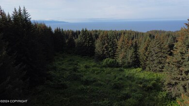 DJI_0892