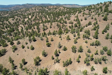 dji_fly_20250618_132622_556_175027945844