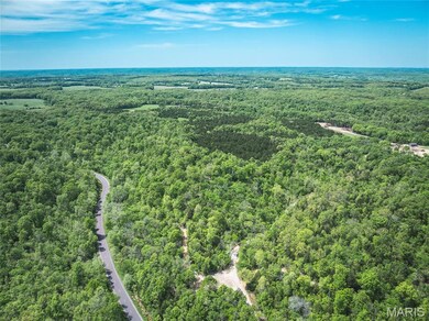 0 Lot H Armadillo Ln unit MIS25030851, Sullivan, MO 63080 - photo 4