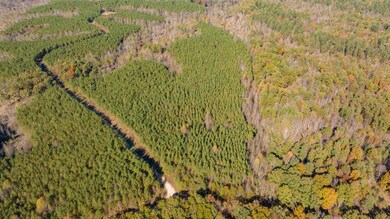 0 Old Highway 18 unit RTC2588344, Stewart, TN 37175 - photo 7