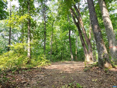 0 Jefferson Mill Rd unit 642483, Scottsville, VA 24590 - photo 2