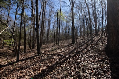 Lots 4-7 Rocky Branch Rd, Rogers, AR 72756 - photo 7