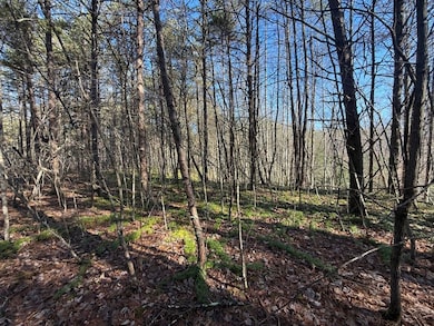 Wild Dog Creek Lot unit Wp10, Tyner, KY 40486 - photo 4