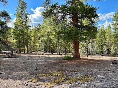 143 Fir Dr, Twin Lakes, CO 80461 - photo 2