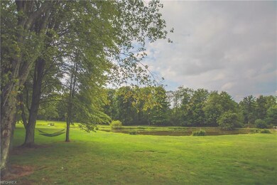 Pond and backyard view