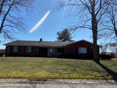 110 Willow Dr, Freeburg, IL 62243 - photo 3